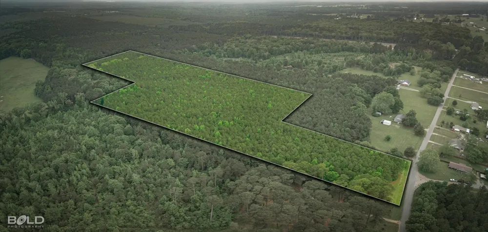 Boothville Road Doyline, LA 71023