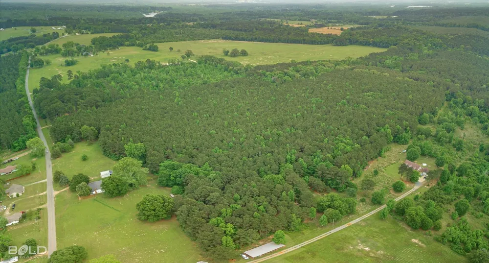 Boothville Road Doyline, LA 71023