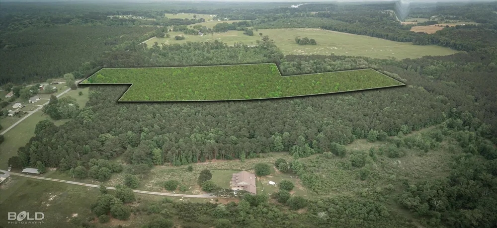 Boothville Road Doyline, LA 71023