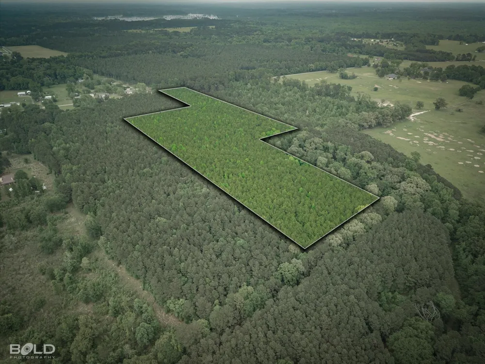 Boothville Road Doyline, LA 71023