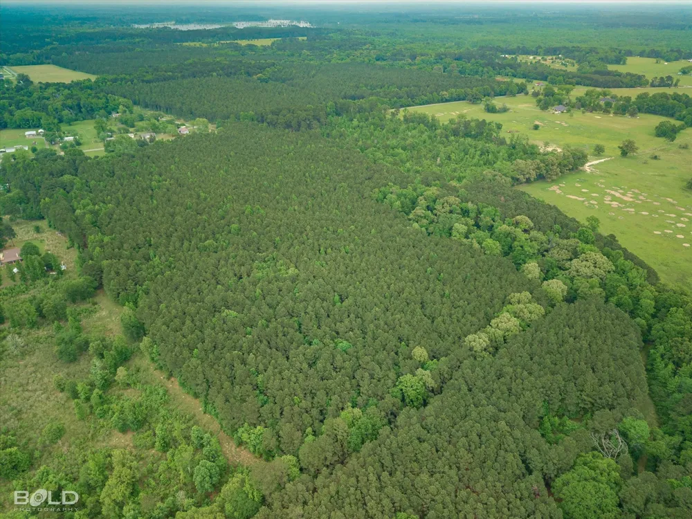 Boothville Road Doyline, LA 71023