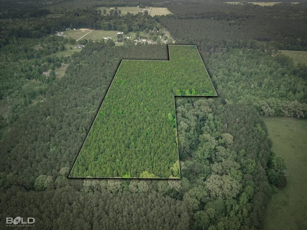 Boothville Road Doyline, LA 71023