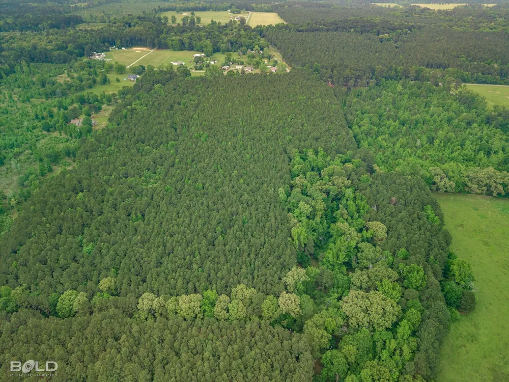 Boothville Road Doyline, LA 71023