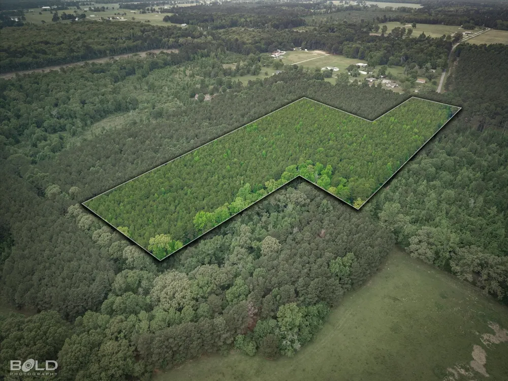 Boothville Road Doyline, LA 71023