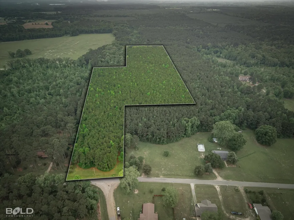 Boothville Road Doyline, LA 71023