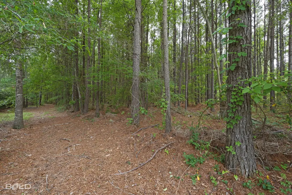 Boothville Road Doyline, LA 71023