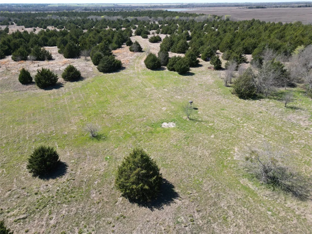 999 CR3805 Bailey, TX 75413