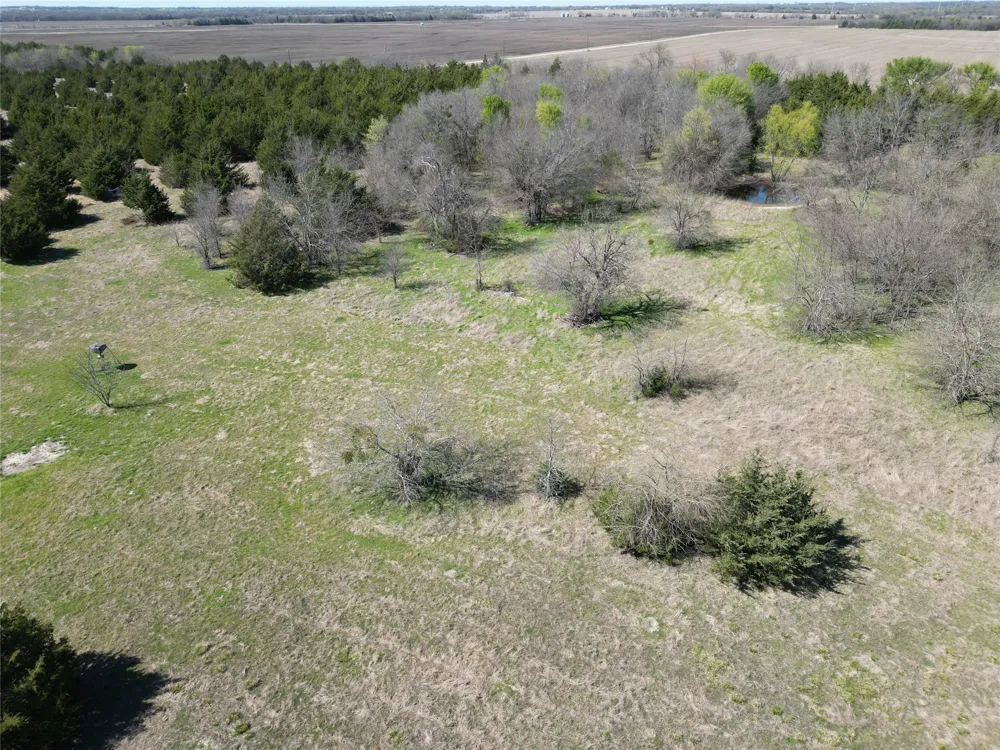 999 CR3805 Bailey, TX 75413