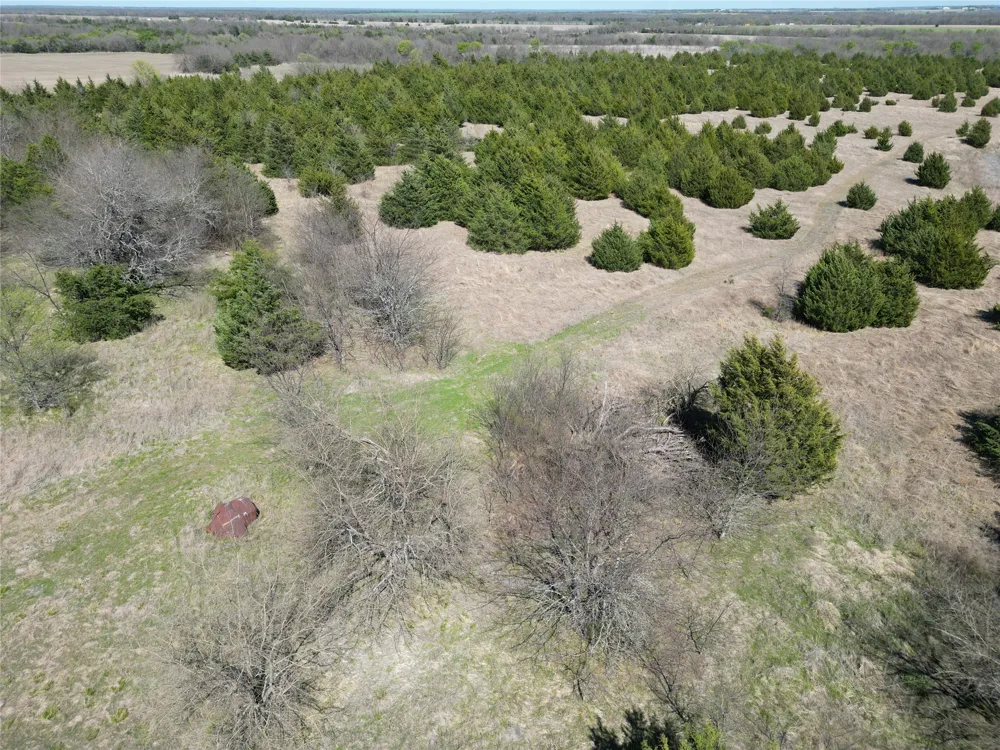 999 CR3805 Bailey, TX 75413
