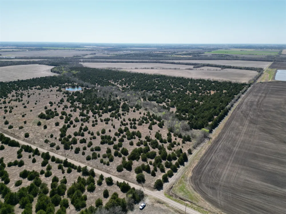 999 CR3805 Bailey, TX 75413