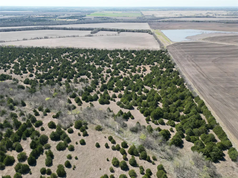 999 CR3805 Bailey, TX 75413