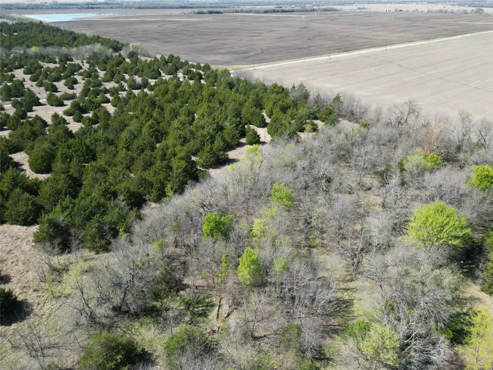 999 CR3805 Bailey, TX 75413