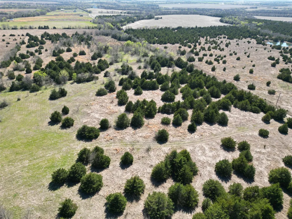 999 CR3805 Bailey, TX 75413