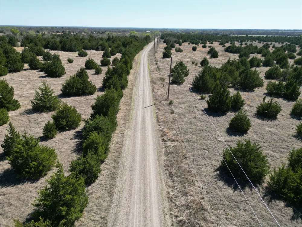 999 CR3805 Bailey, TX 75413