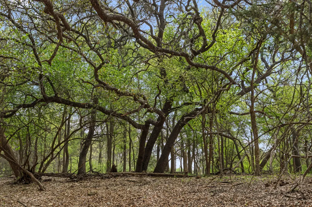 3680 County Road 245 Florence, TX 76527
