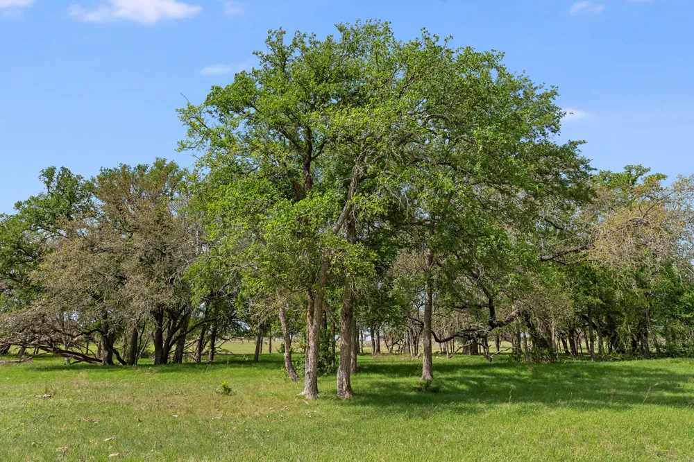 3680 County Road 245 Florence, TX 76527