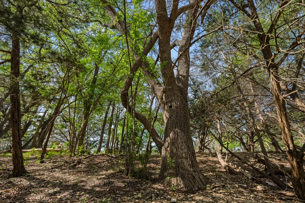 3680 County Road 245 Florence, TX 76527