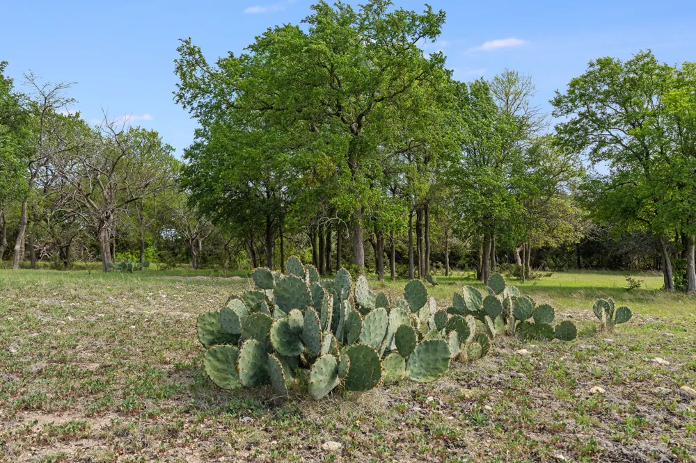 3680 County Road 245 Florence, TX 76527
