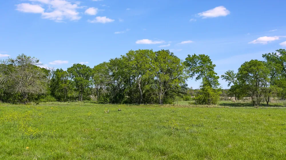 3680 County Road 245 Florence, TX 76527