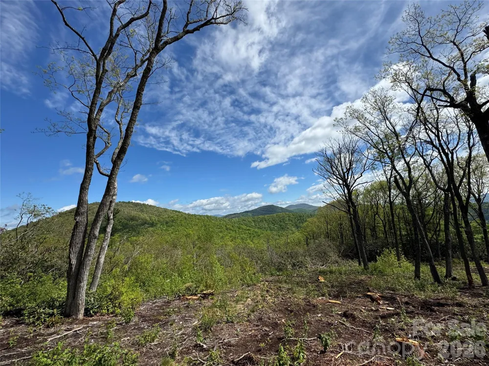TBD E Garden Trail #45 Hendersonville, NC 28792