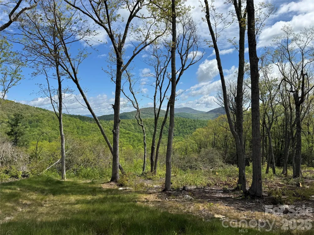 TBD E Garden Trail #45 Hendersonville, NC 28792