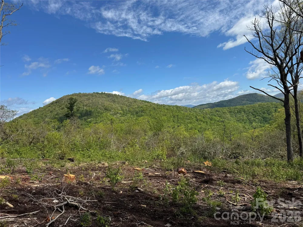 TBD E Garden Trail #45 Hendersonville, NC 28792