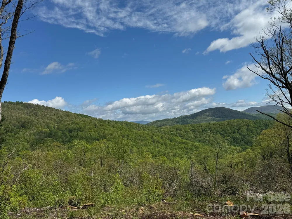 TBD E Garden Trail #45 Hendersonville, NC 28792