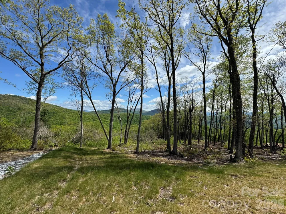 TBD E Garden Trail #45 Hendersonville, NC 28792