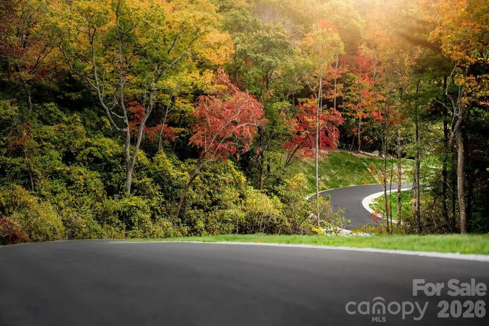TBD E Garden Trail #45 Hendersonville, NC 28792