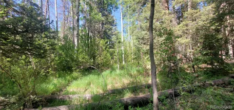 5660 Kawasaki Road