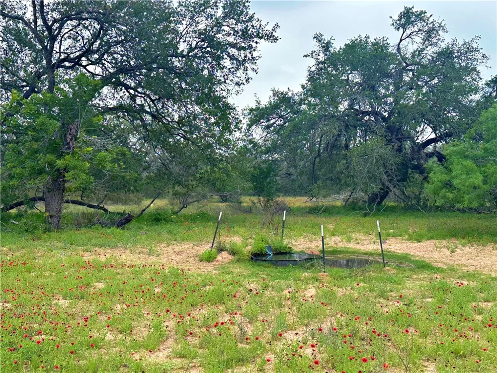 586 Jenschke Ln Poteet, TX 78065