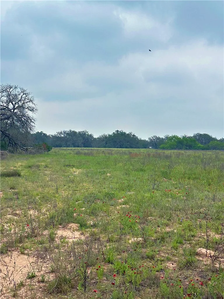 586 Jenschke Ln Poteet, TX 78065