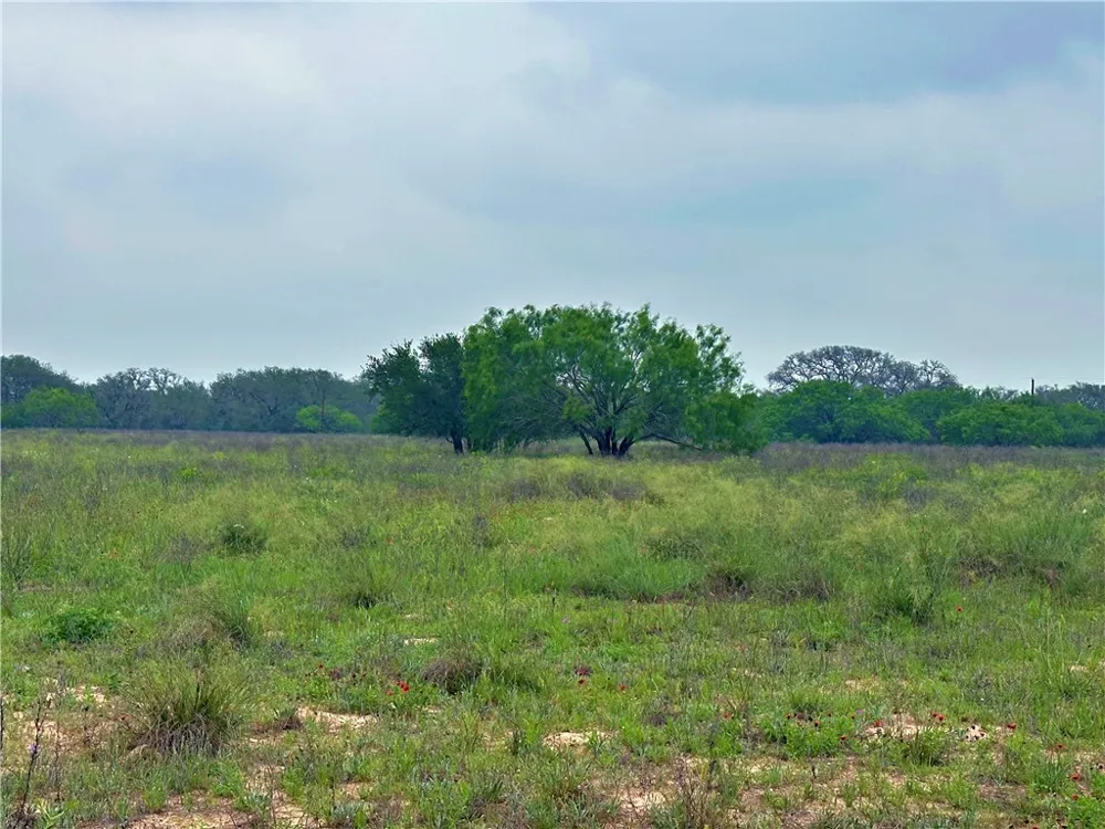 586 Jenschke Ln Poteet, TX 78065