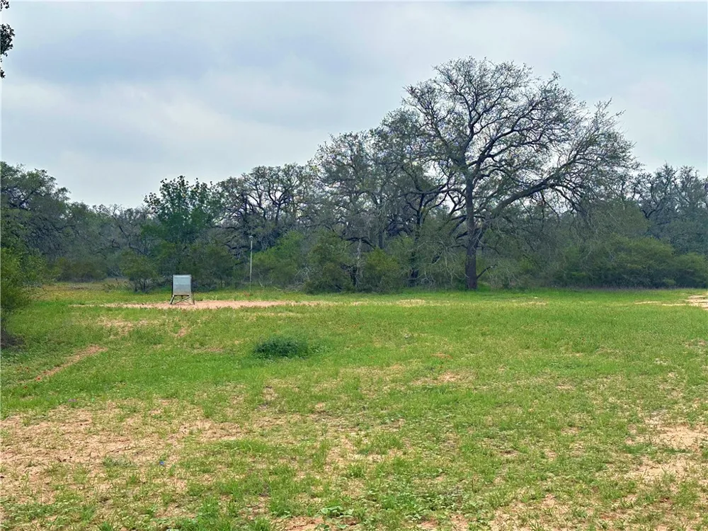 586 Jenschke Ln Poteet, TX 78065