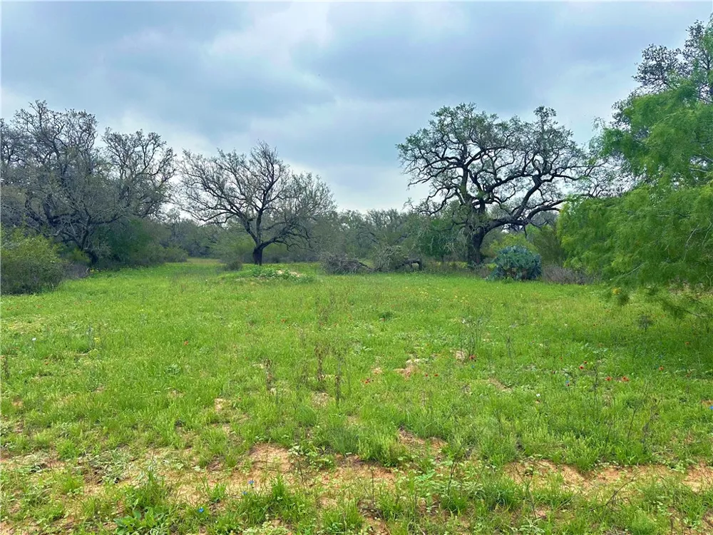 586 Jenschke Ln Poteet, TX 78065