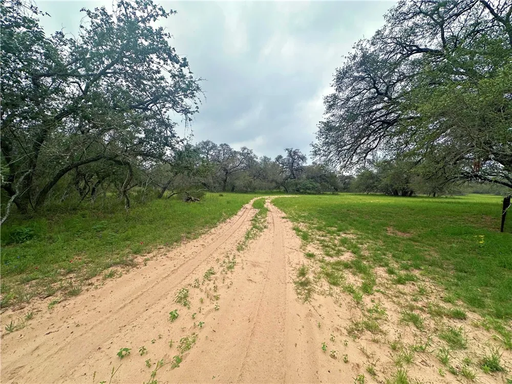 586 Jenschke Ln Poteet, TX 78065