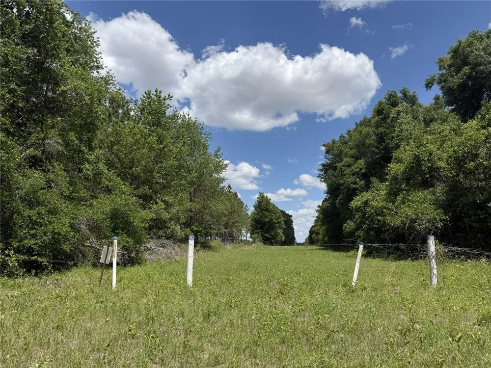 0 NW 140TH STREET Chiefland, FL 32626