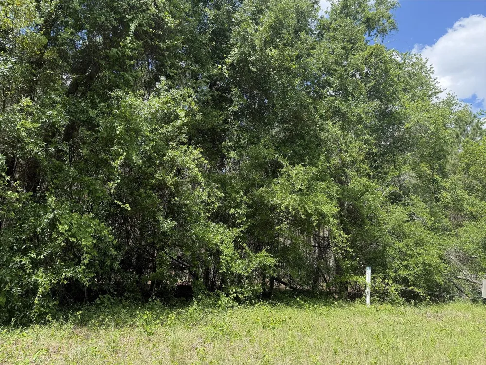 0 NW 140TH STREET Chiefland, FL 32626