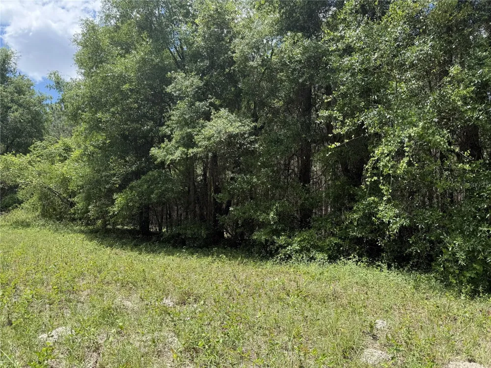 0 NW 140TH STREET Chiefland, FL 32626
