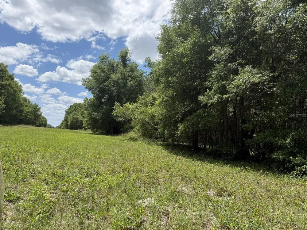 0 NW 140TH STREET Chiefland, FL 32626