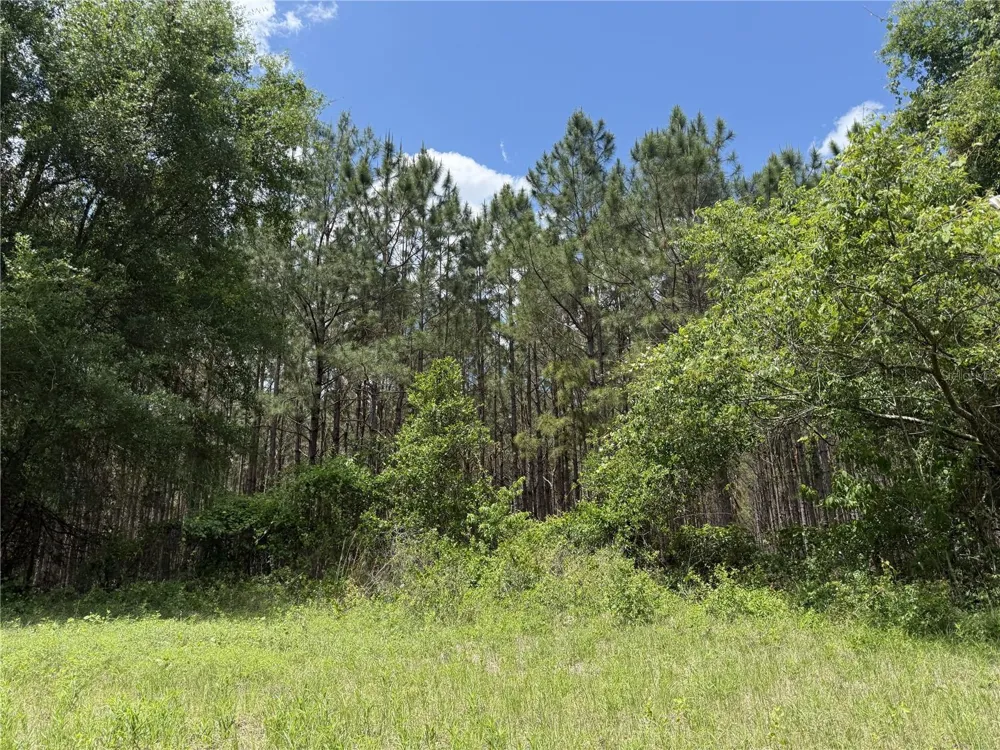 0 NW 140TH STREET Chiefland, FL 32626