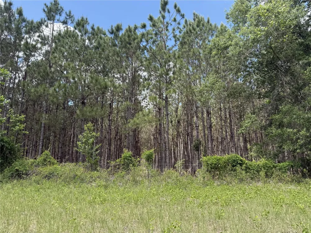 0 NW 140TH STREET Chiefland, FL 32626