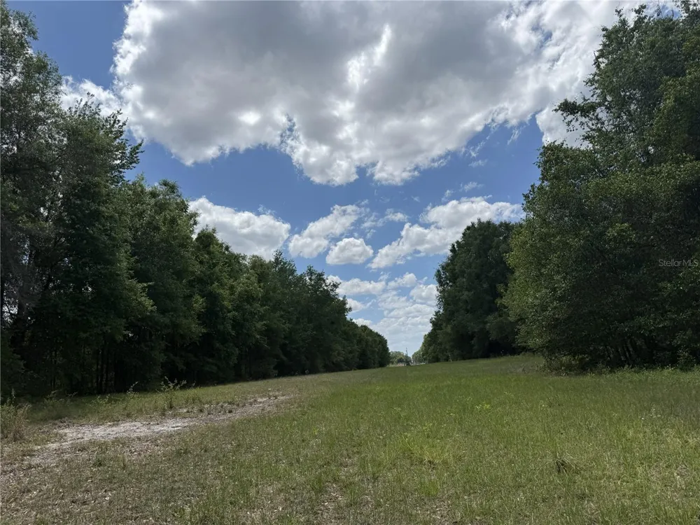 0 NW 140TH STREET Chiefland, FL 32626