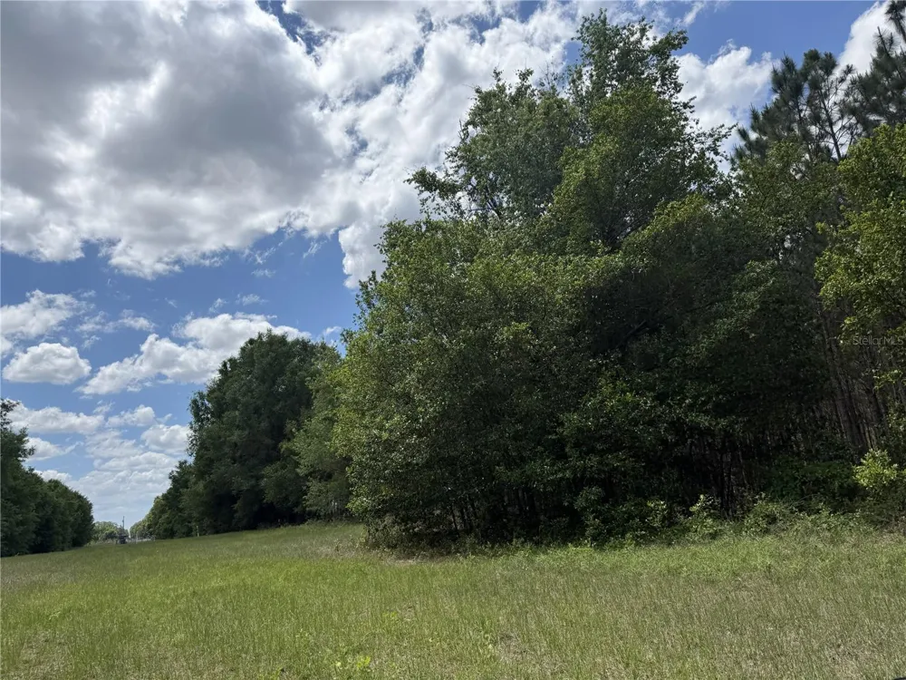 0 NW 140TH STREET Chiefland, FL 32626