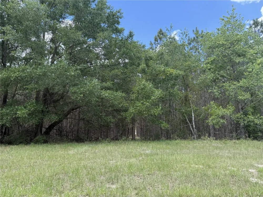 0 NW 140TH STREET Chiefland, FL 32626