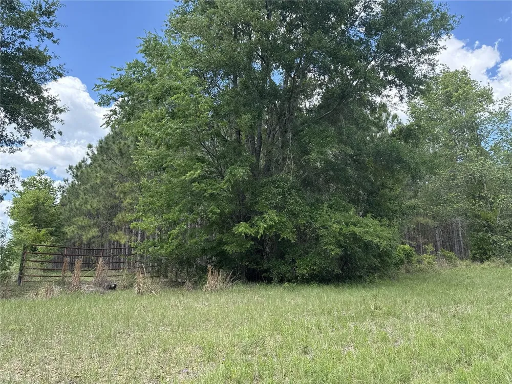 0 NW 140TH STREET Chiefland, FL 32626