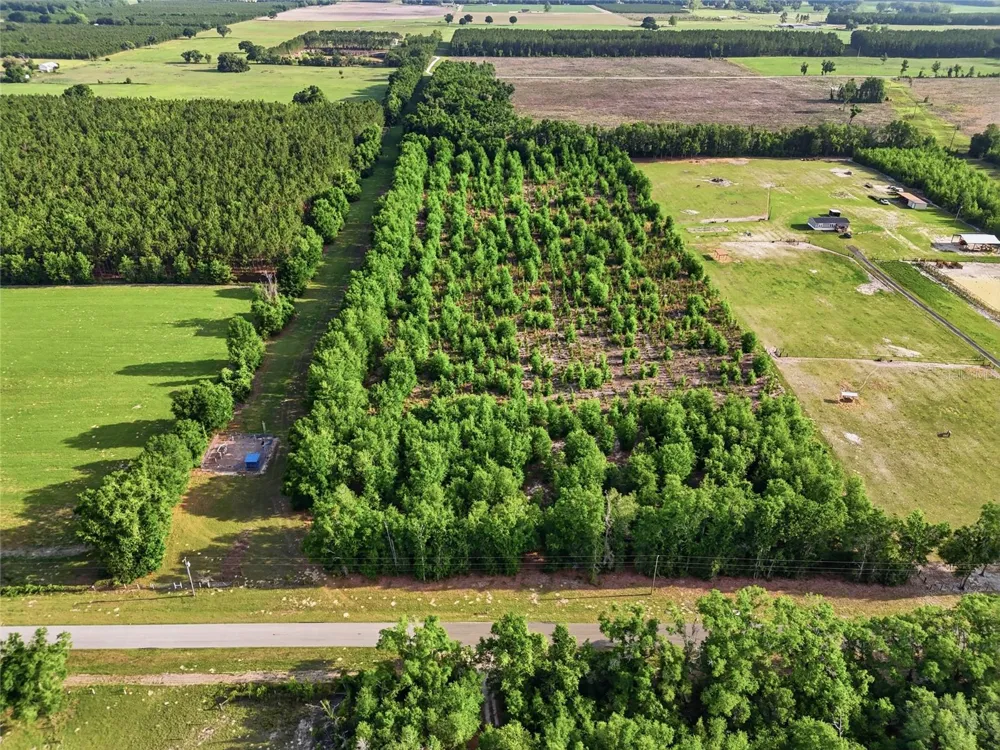 0 NW 140TH STREET Chiefland, FL 32626