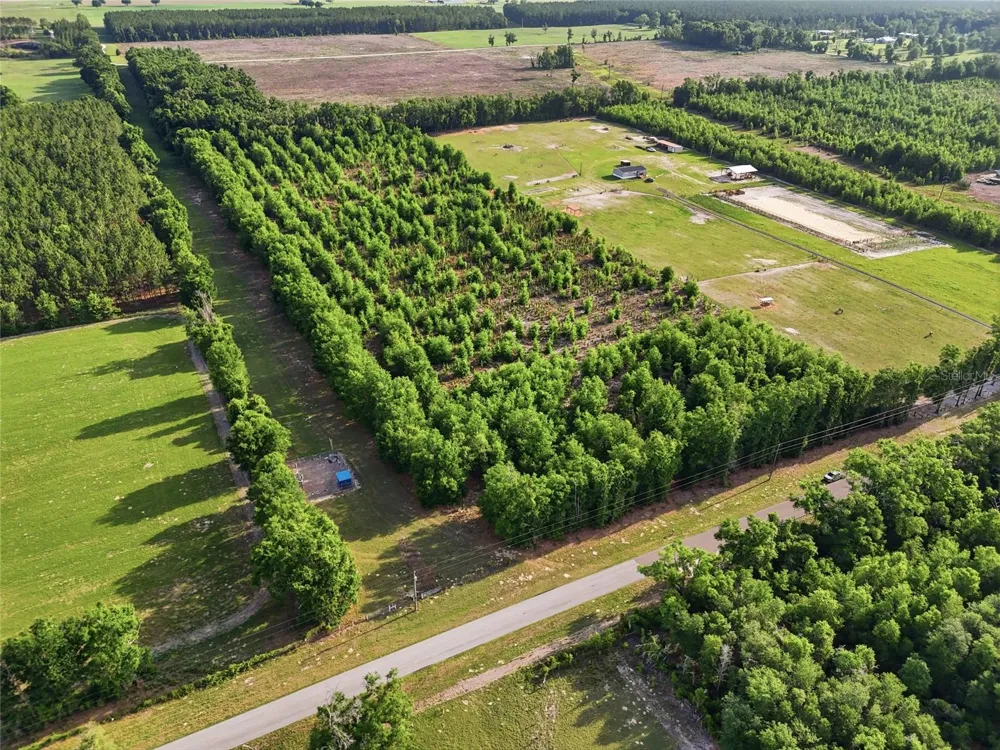 0 NW 140TH STREET Chiefland, FL 32626