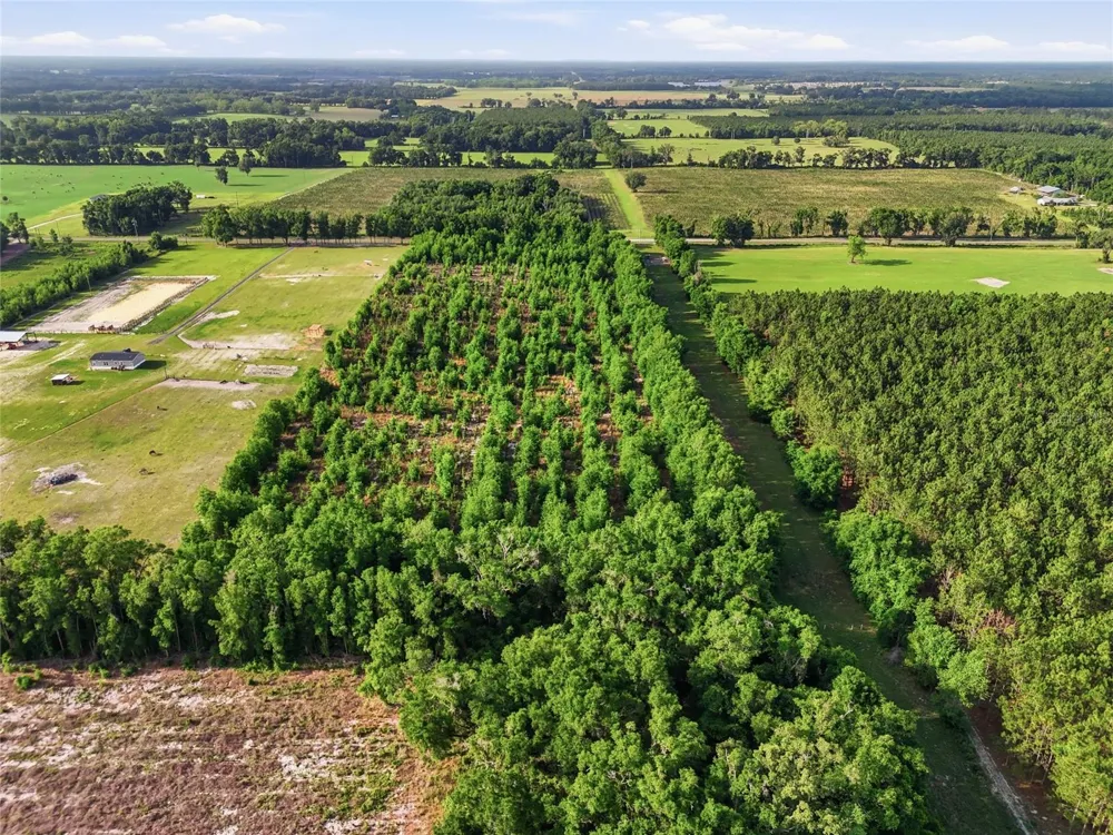 0 NW 140TH STREET Chiefland, FL 32626