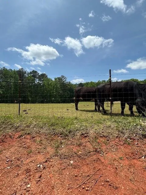 766 S Bethany Road McDonough, GA 30252